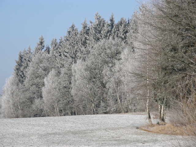 Pejsci zima 2009 015.jpg