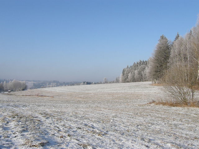 Pejsci zima 2009 016.jpg