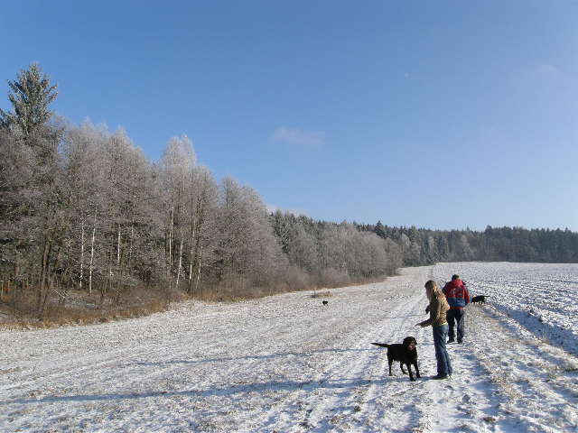 Pejsci zima 2009 021.jpg