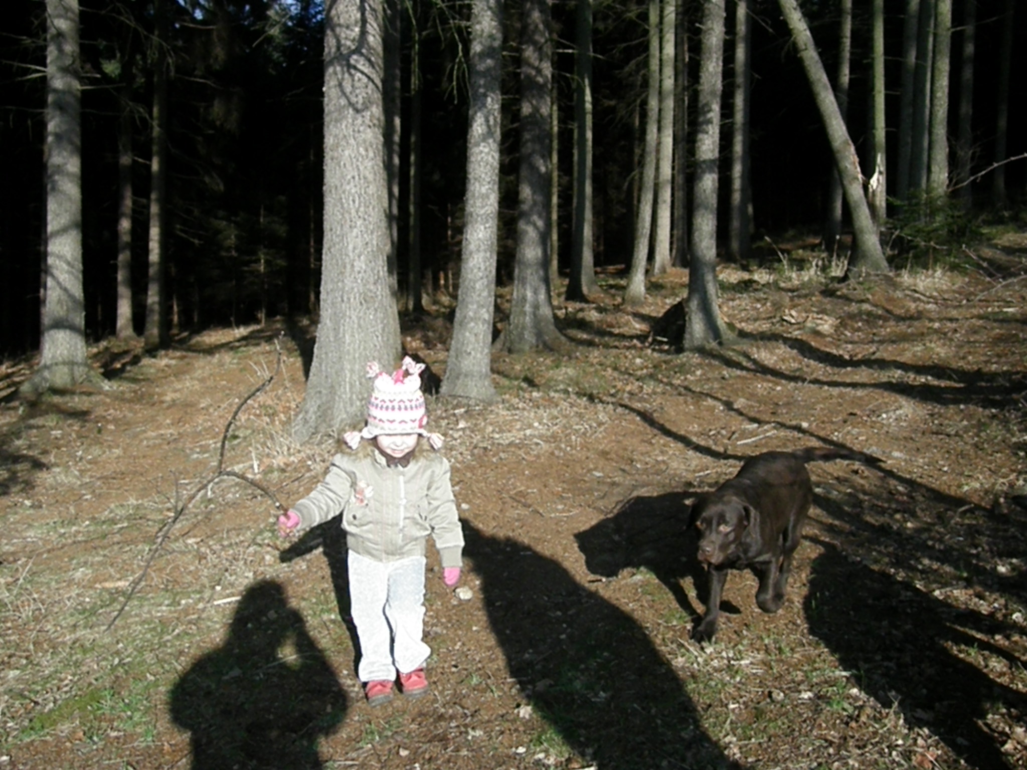 stenata 28.12.2008 026.jpg