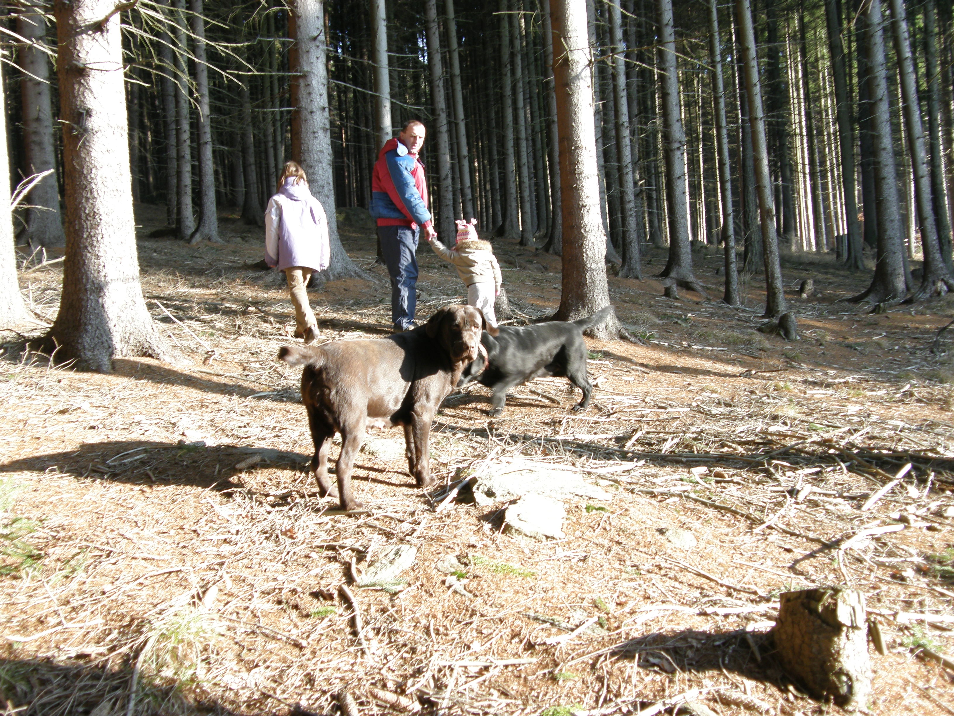 stenata 28.12.2008 036.jpg