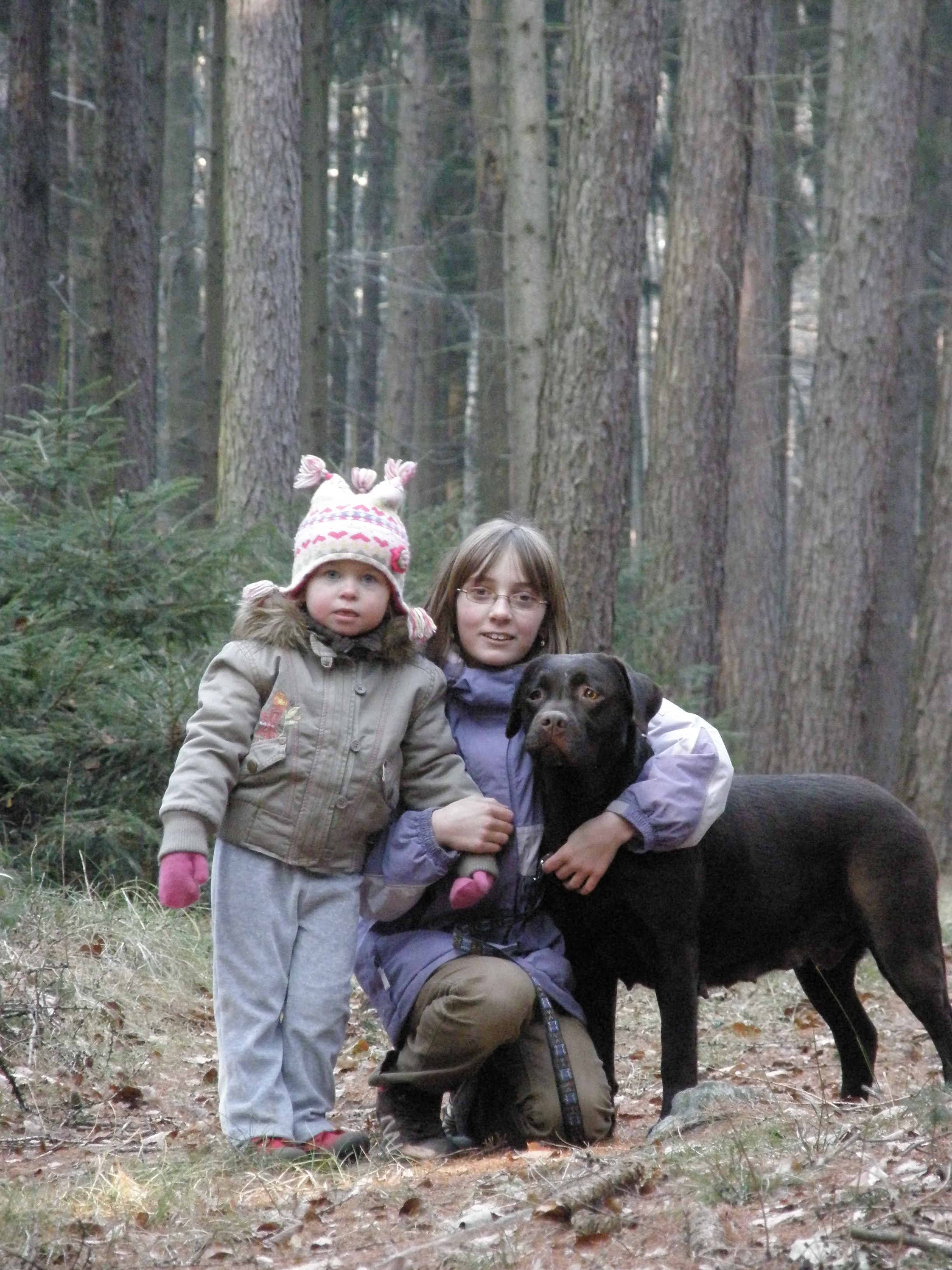 stenata 28.12.2008 076.jpg