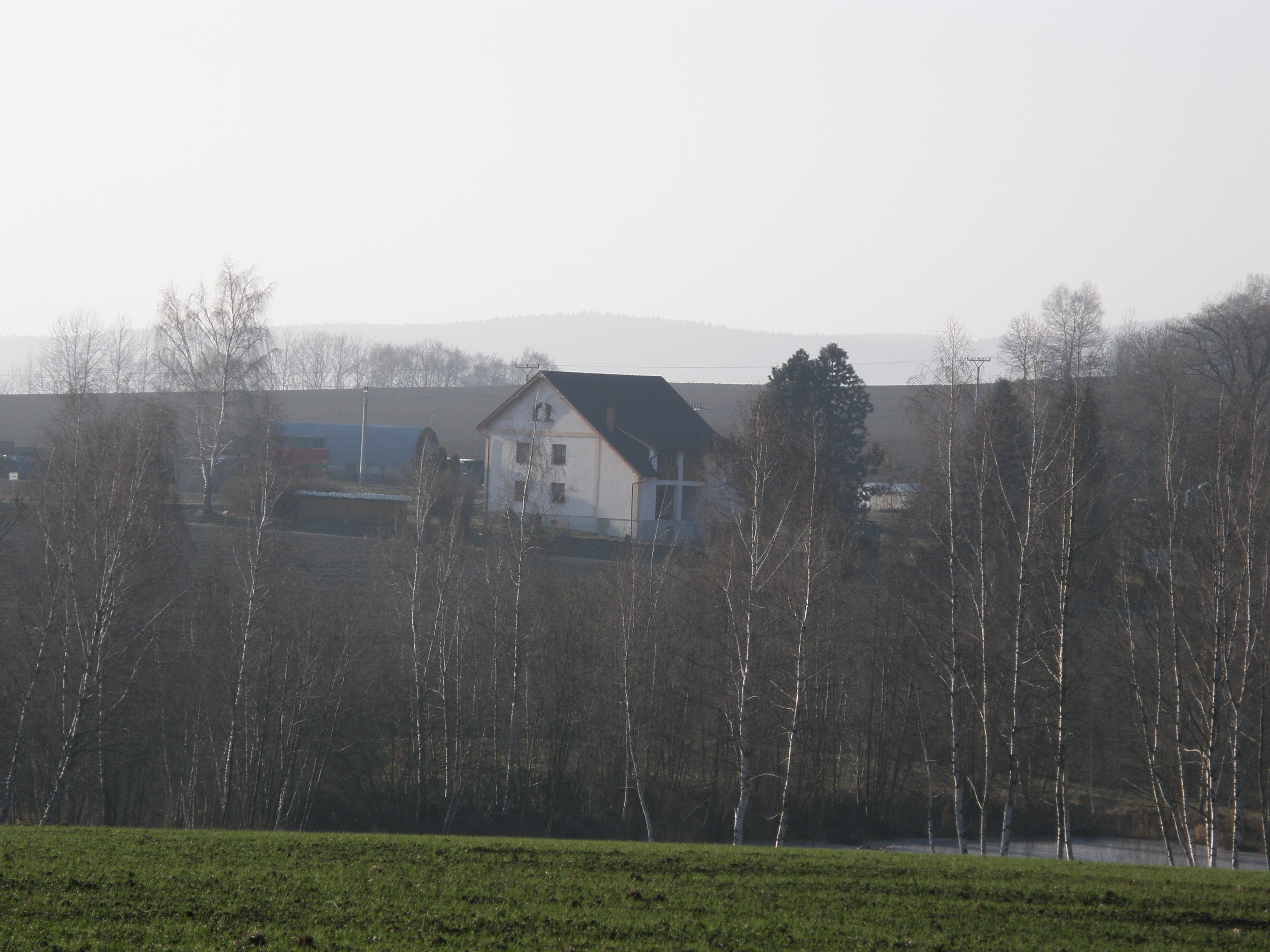 stenata 28.12.2008 109.jpg