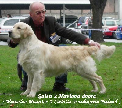 galen_budejovice08.jpg