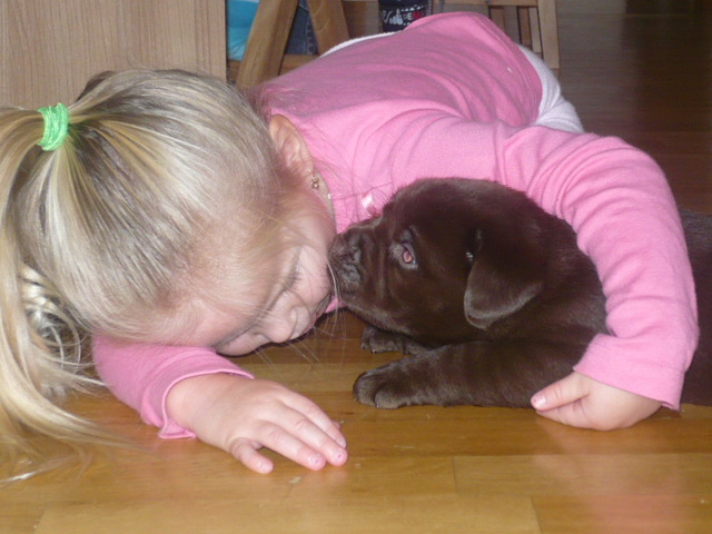 22.11.2008 127.jpg