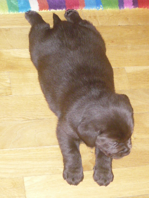 22.11.2008 139.jpg