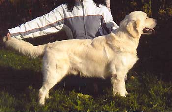 gr_p_8480_p.jpg