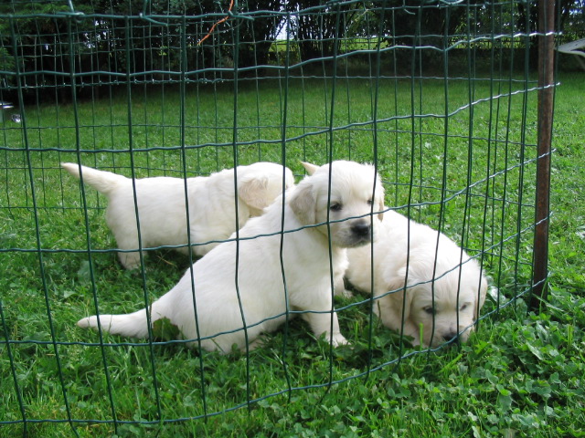 Kája+Watík 22.srpna 06 053.jpg