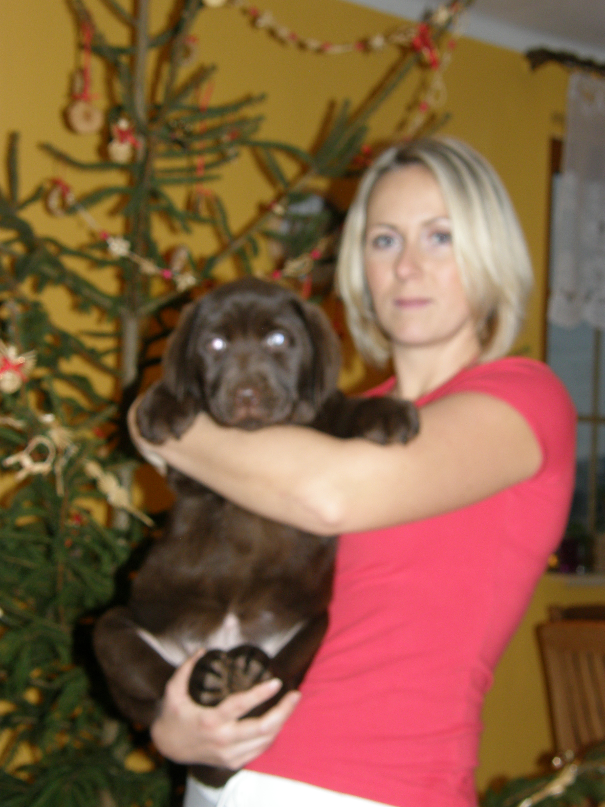 stenata 28.12.2008 021.jpg